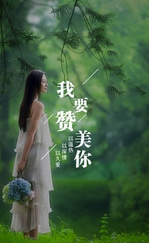 为你写诗官网版