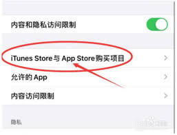苹果手机如何禁止安装新 APP
