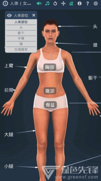人体系统女性手机版
