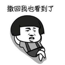 PC微信防撤回DLL补丁安卓版