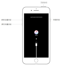 苹果16手机黑屏开不了机怎么办