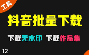 抖音PC端视频批量无水印解析工具是什么