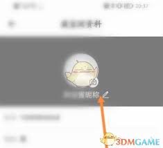 藏宝阁如何修改名字