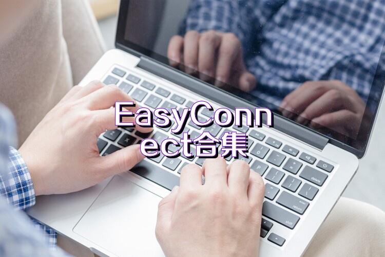 EasyConnect合集