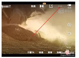 爱奇艺极速版