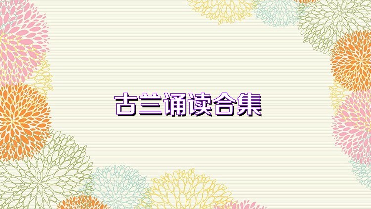 古兰诵读合集