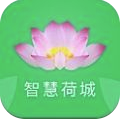 智慧荷城最新版
