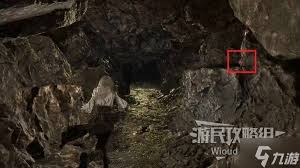 光与影33号远征队繁叶结怎么获取