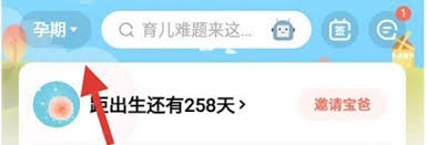 宝宝树孕育怎么设置怀孕日期