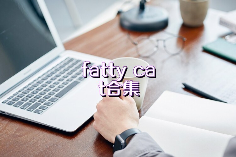 fatty cat合集