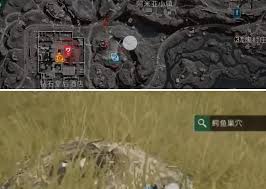 三角洲行动鳄鱼入侵巢穴位置在哪