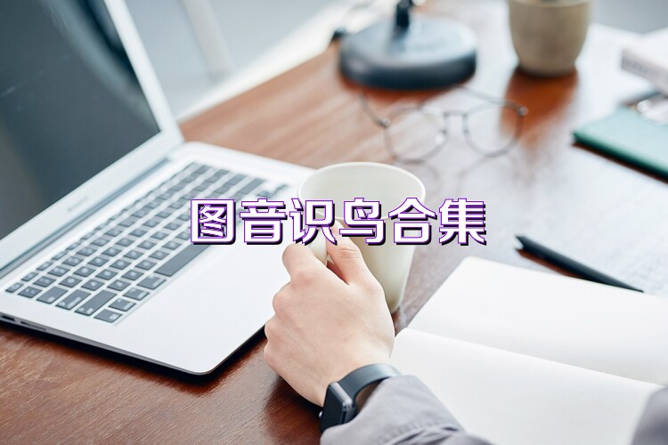 图音识鸟合集