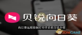 如何开启向日葵远程打印