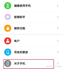 华为NovaFlip怎样查看内存占用
