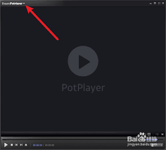 potplayer如何设置立体声
