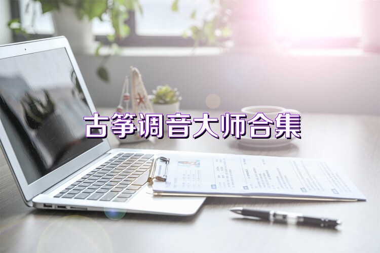 古筝调音大师合集