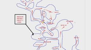 光与影33号远征队古代圣所手绘地图怎么获取
