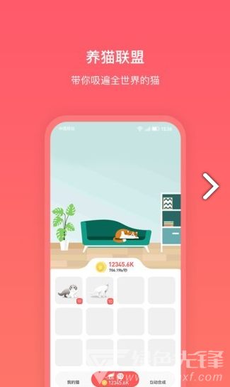 养猫联盟手机版