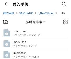 B站缓存的视频文件在电脑哪里