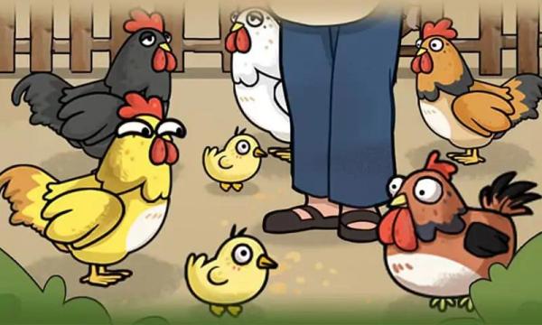 养鸡日记最新版