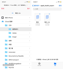 如何将iPhone健康数据导出