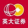英大金点