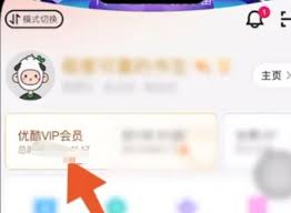 苹果手机如何取消优酷会员自动续费