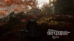 光与影33号远征队怎么获取随机防御符纹