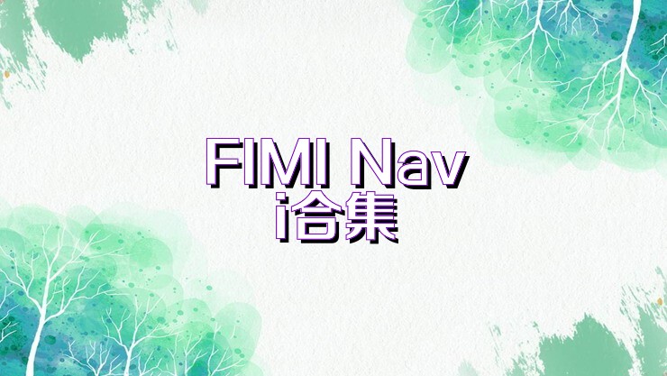 FIMI Navi合集