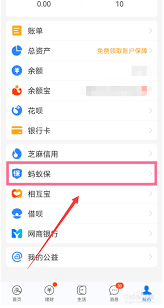 支付宝养老保险金怎么退