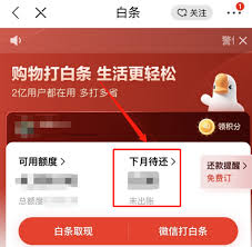 京东白条逾期了会怎样