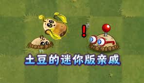 植物大战僵尸2新植物伏僵塔黄怎么样