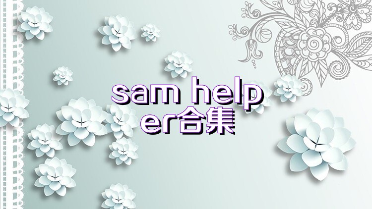 sam helper合集