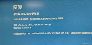 进入系统后蓝屏怎么办