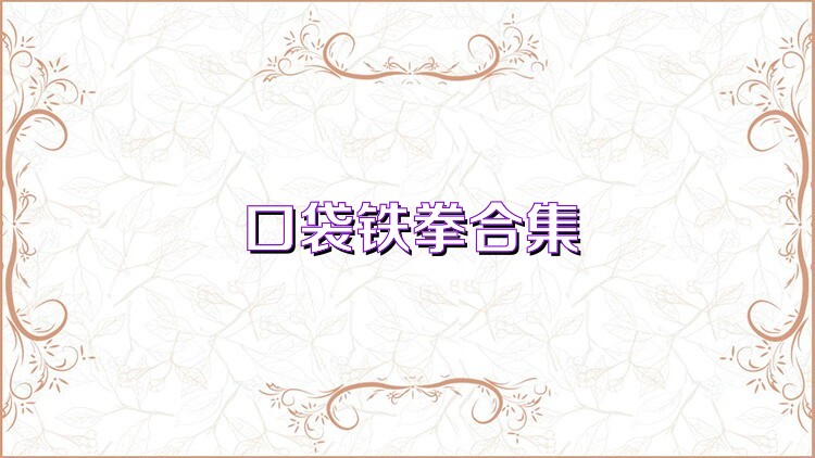 口袋铁拳合集