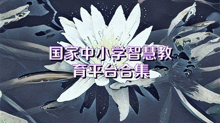 国家中小学智慧教育平台合集