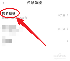 红米note7如何开启透明壁纸