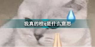 抖音我真的栓Q是什么梗