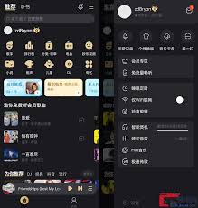 酷我音乐如何停用流量播放