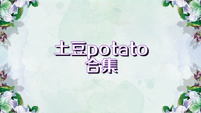 土豆potato合集