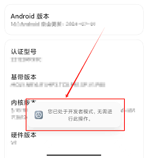 关闭小米手机开发者模式系统优化会怎样