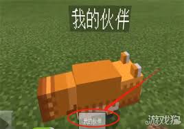 我的世界宠物如何取消跟随设置
