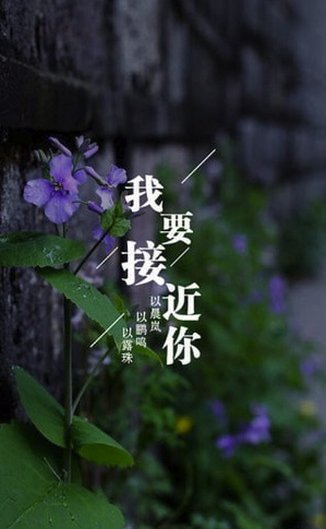 为你写诗手机版
