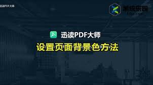 迅读PDF大师如何设置页面背景色