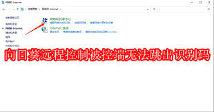 向日葵远程控制被控端识别码无法跳出怎么办