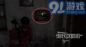 生化危机4艾达王终极行动指南是什么