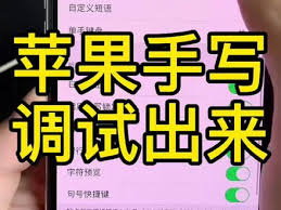 苹果手机如何调整手写输入笔画粗细