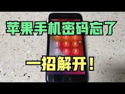 忘记苹果手机密码怎么办