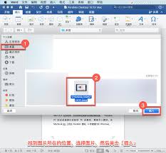 怎么在Word文档中添加图片
