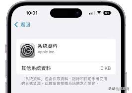 苹果手机系统数据怎么清理